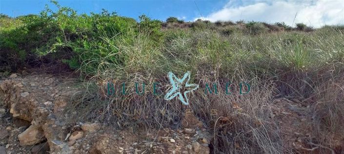 Image No.8-Property for sale