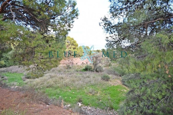 Image No.2-Property for sale