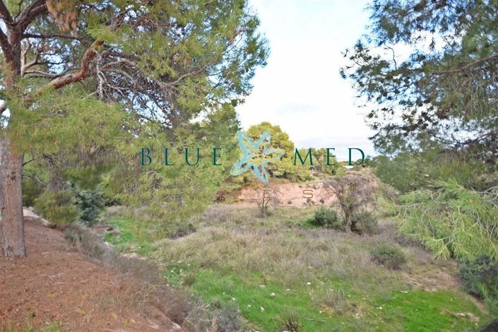 Image No.3-Property for sale