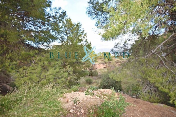 Image No.4-Property for sale