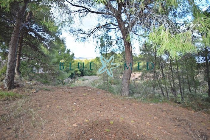 Image No.5-Property for sale