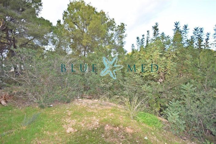 Image No.6-Property for sale