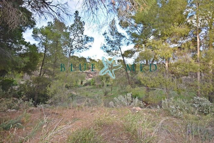 Image No.7-Property for sale