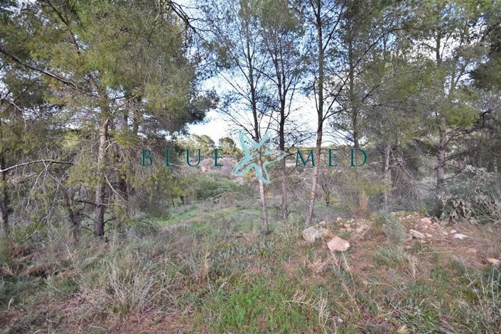 Image No.8-Property for sale