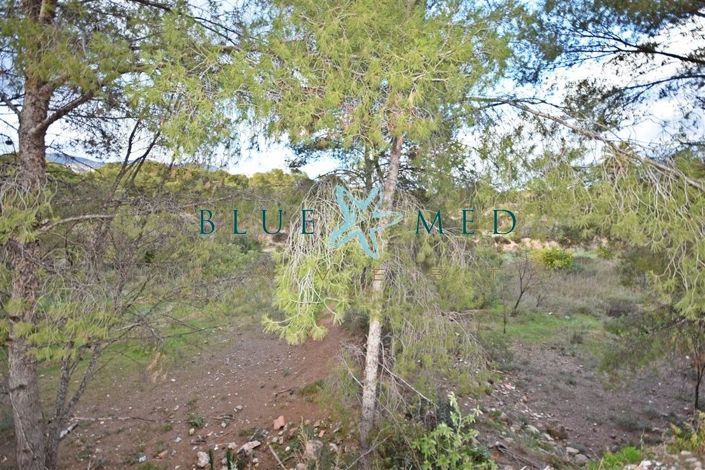 Image No.9-Property for sale