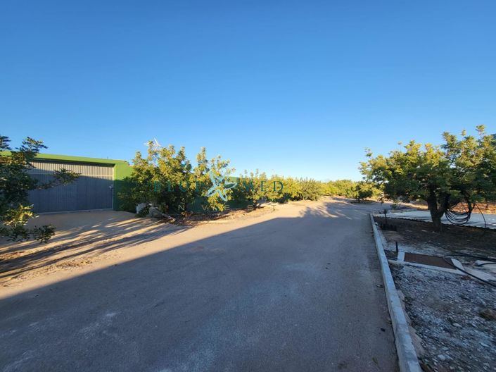 Image No.40-43 Bed Country House for sale