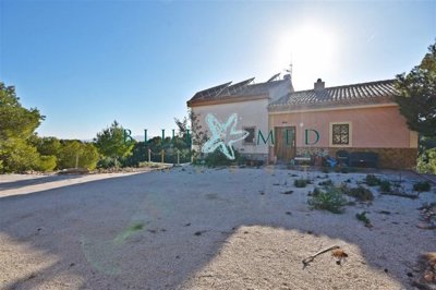 Blue Med Invest most sold property