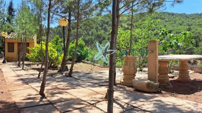 Blue Med Invest most sold property