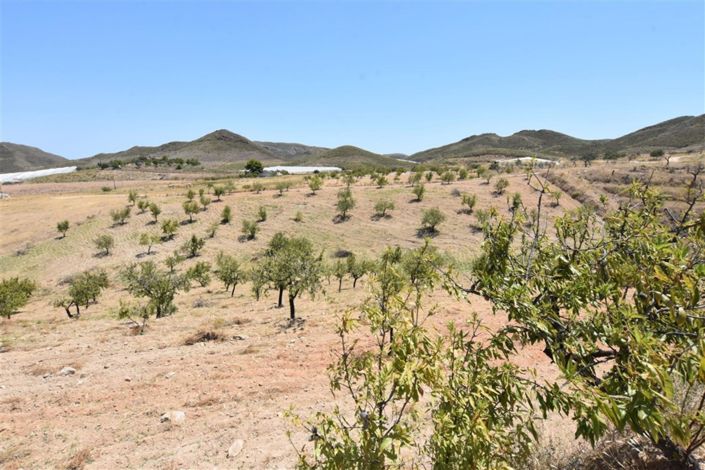 Image No.29-3 Bed Country House for sale