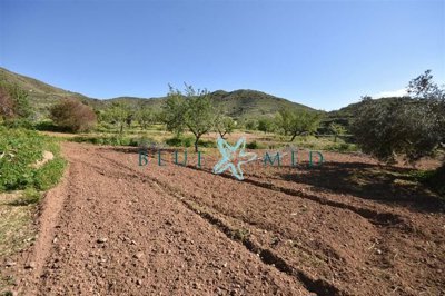 Blue Med Invest most sold property