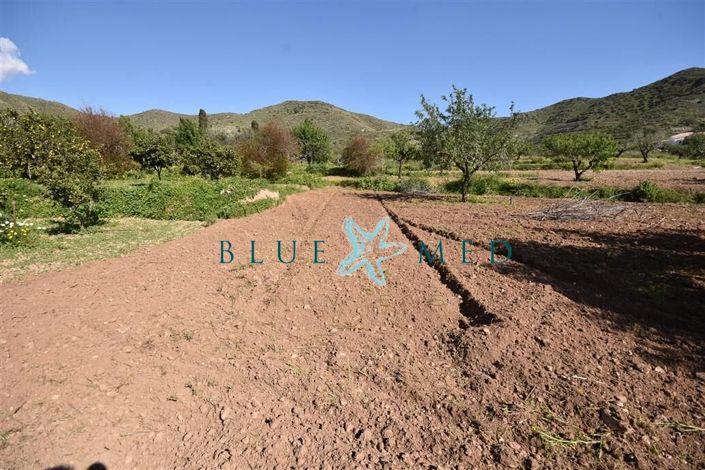 Image No.14-Property for sale