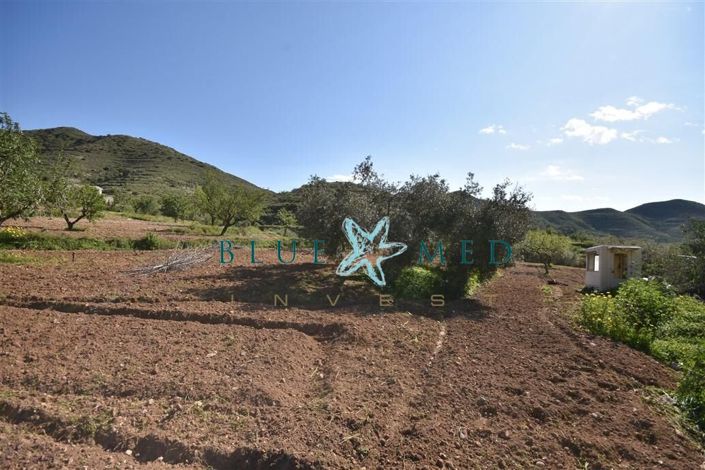 Image No.15-Property for sale