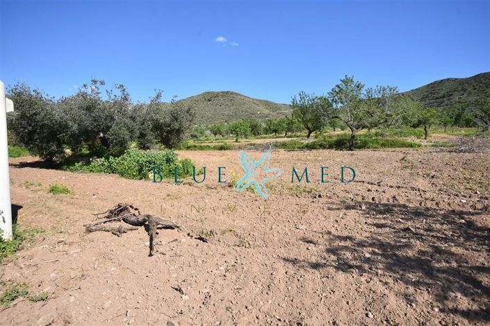 Image No.19-Property for sale