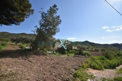 Blue Med Invest most sold property