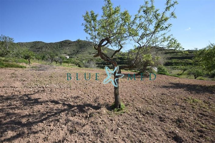 Image No.21-Property for sale