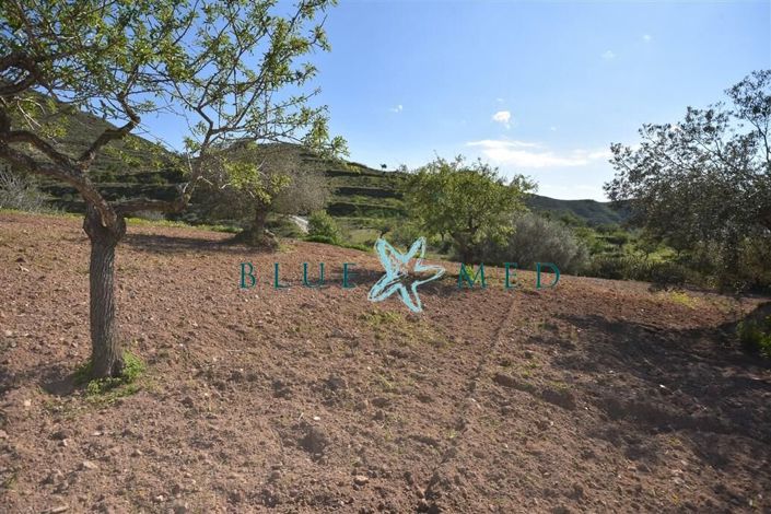 Image No.22-Property for sale