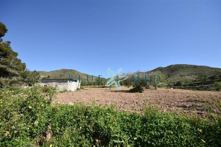 Image No.10-Property for sale