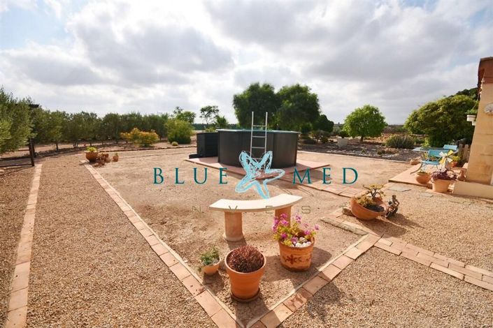 Image No.11-3 Bed Country House for sale