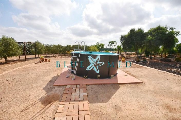 Image No.19-3 Bed Country House for sale