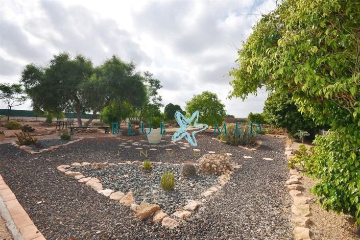 Image No.22-3 Bed Country House for sale