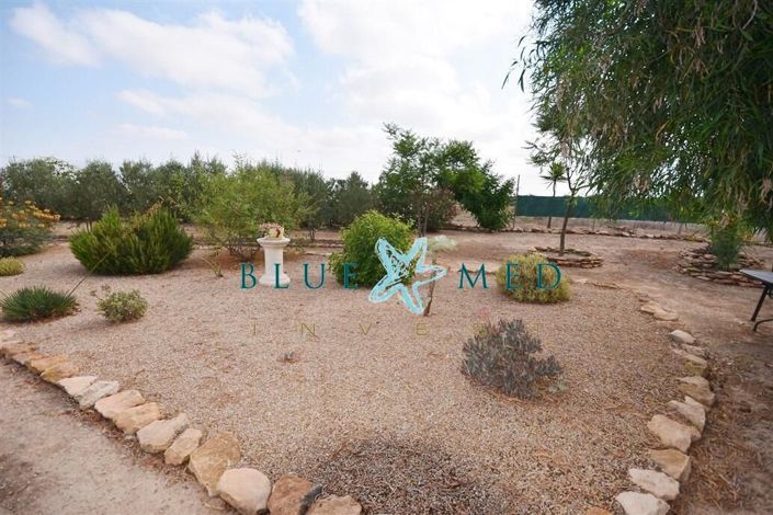 Image No.26-3 Bed Country House for sale