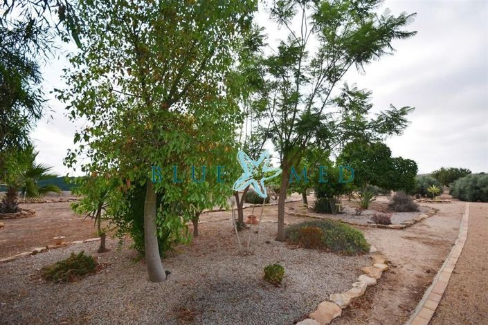 Image No.29-3 Bed Country House for sale