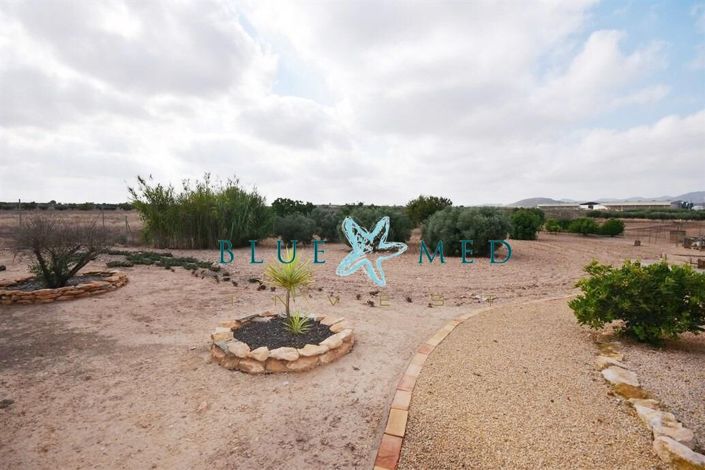 Image No.31-3 Bed Country House for sale