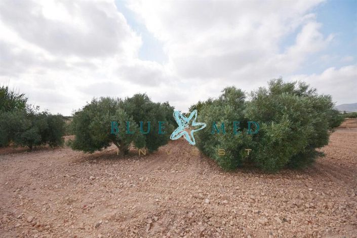 Image No.33-3 Bed Country House for sale