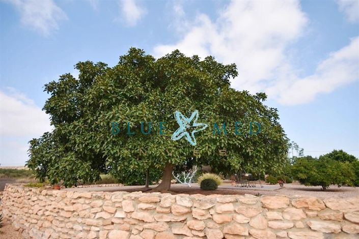 Image No.34-3 Bed Country House for sale