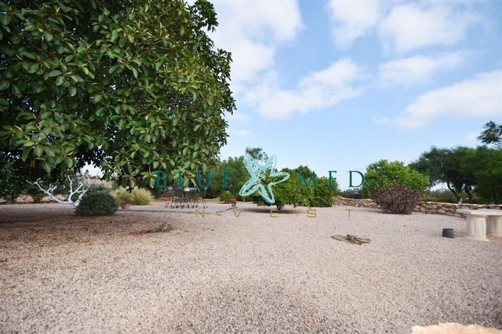 Image No.35-3 Bed Country House for sale