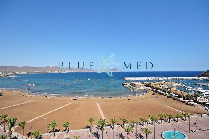 Image No.1-4 Bed Flat for sale
