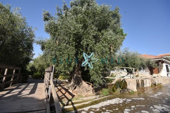 Image No.21-Property for sale