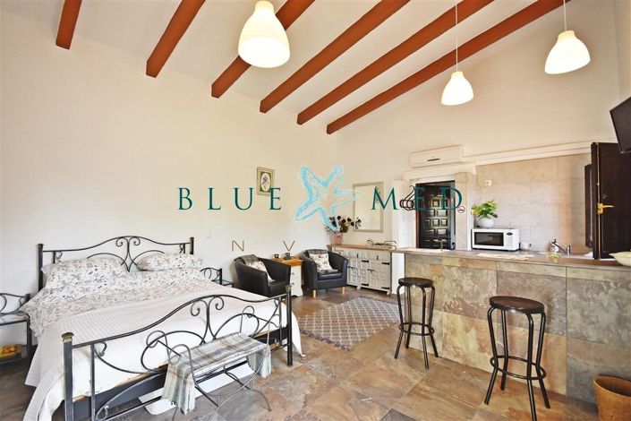 Image No.42-6 Bed Country House for sale