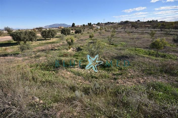 Image No.1-Propriété à vendre à Totana