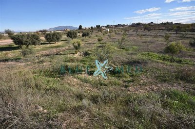 Blue Med Invest most sold property