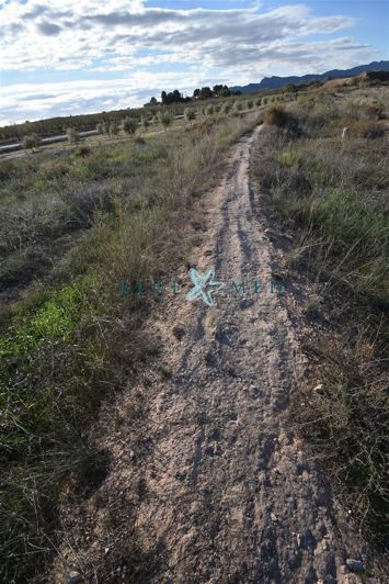 Image No.11-Propriété à vendre à Totana