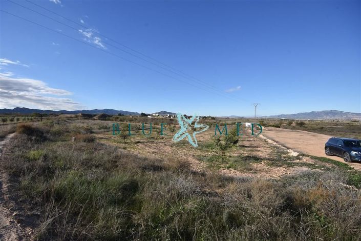 Image No.12-Propriété à vendre à Totana