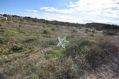 Blue Med Invest most sold property