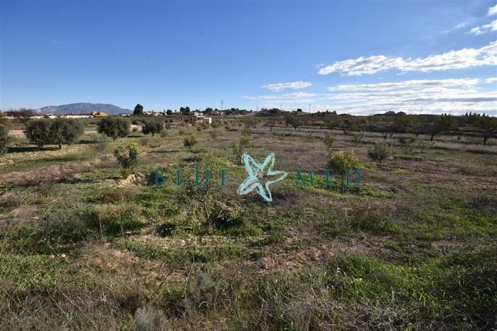 Image No.3-Propriété à vendre à Totana