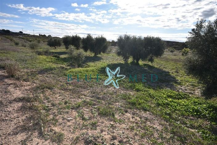 Image No.5-Propriété à vendre à Totana