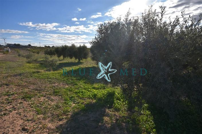 Image No.6-Propriété à vendre à Totana