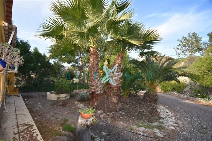 Image No.39-2 Bed Country House for sale