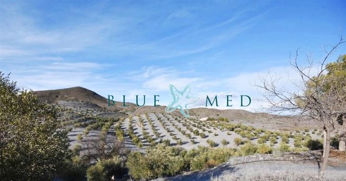 Image No.3-4 Bed Country House for sale