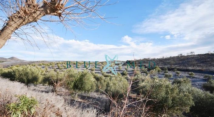 Image No.43-4 Bed Country House for sale