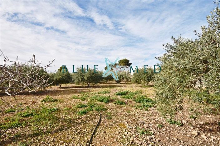 Image No.5-1 Bed Country House for sale