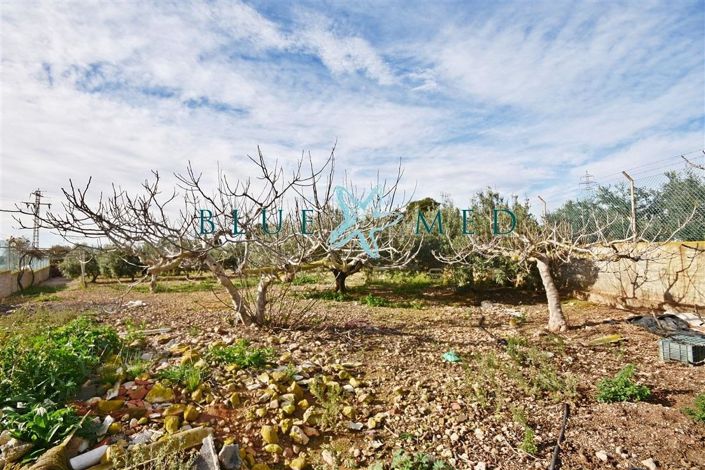 Image No.6-1 Bed Country House for sale