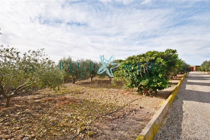 Image No.8-1 Bed Country House for sale