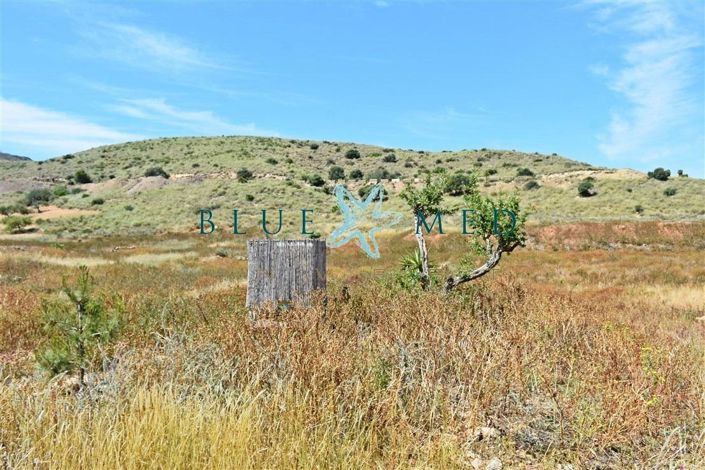 Image No.27-4 Bed Country House for sale