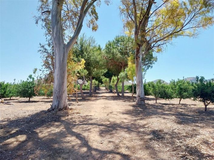Image No.35-2 Bed Country House for sale
