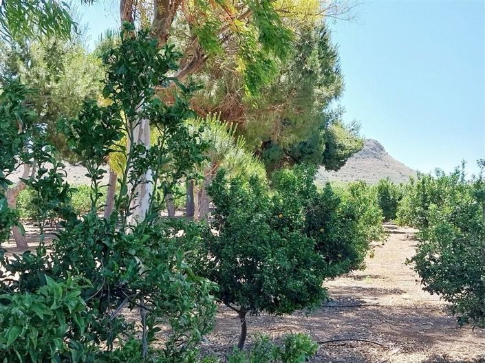 Image No.38-2 Bed Country House for sale